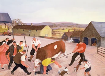La revanche du taureau