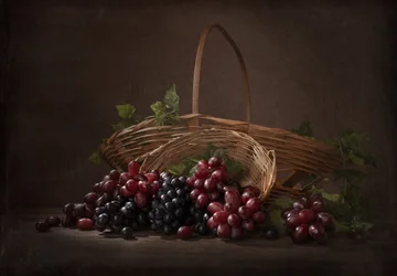 Une récolte abondante de raisins