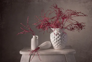 Nature morte élégante aux baies