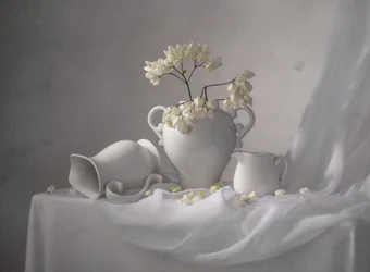 Nature morte blanche élégante