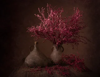 Branches « Moody Magenta »