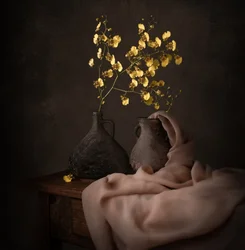Orchidées jaunes mélancoliques