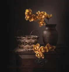 Orchidées jaunes « Moody »