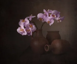 Nature morte à l