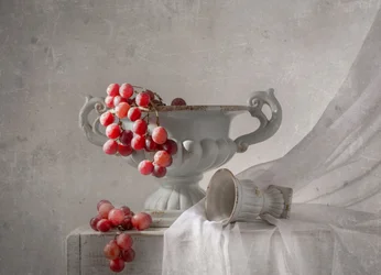 Nature morte aux raisins rouges