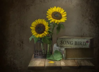 Tournesols rustiques et oiseau chanteur