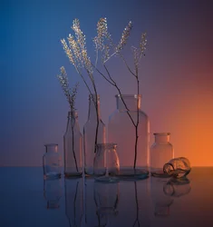 Nature morte sereine en verre