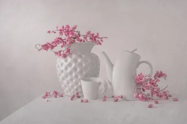 Nature morte rose pâle