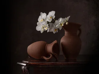 Nature morte aux orchidées blanches