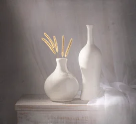 Vases blancs, lumière douce