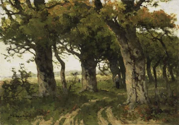 Avenue des chênes à la fin de l