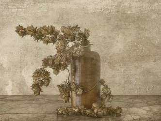 Nature morte rustique au houblon