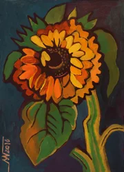 Tournesol d