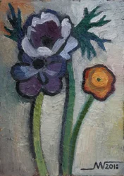 Fleurs de jardin aux couleurs éclatantes