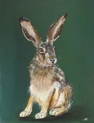 Portrait de lièvre brun