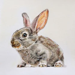 Un adorable petit lapin