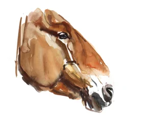 Tête Ancienne (Przewalski), 2012