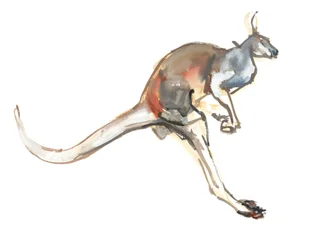 Boing, (Kangourou rouge)