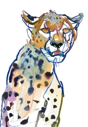 Guépard Chyulu, 2022