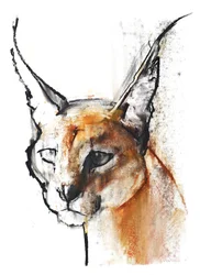 Félin (Caracal Arabe), 2009