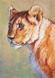 Belvédère, 2019