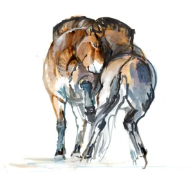 Danse de la puissance (Przewalski), 2013