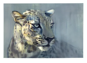 Prédateur II (Léopard arabe), 2009