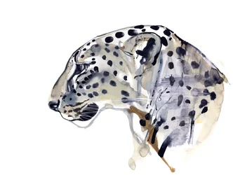 Profil (Léopard arabe), 2008