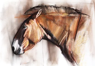 Cheval au Repos, 2013