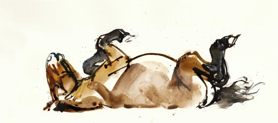 Cheval de Przewalski roulant, 2013
