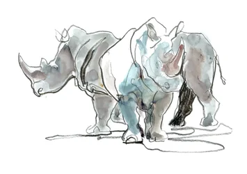 Rhinocéros blancs, Mont Etjo, 2020