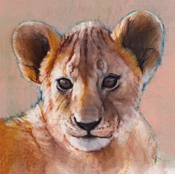 Le plus jeune lionceau, Masai Mara