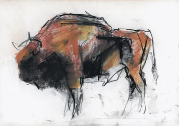 Bison, Białowieża