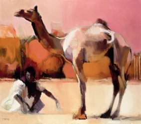 Dsu et Said, Rann de Kutch