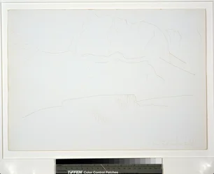 Paysage de montagne avec arbres