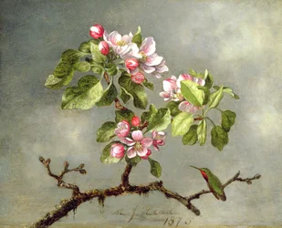 Fleurs de pommier et un colibri, 1875