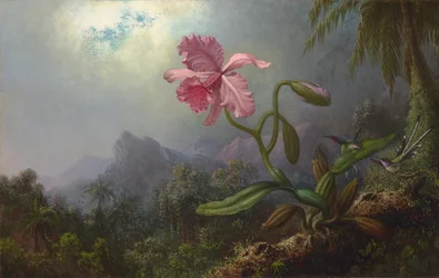 Deux colibris avec une orchidée 1875
