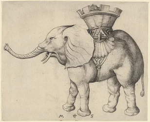 Éléphant