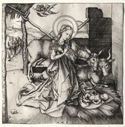 La vie du Christ : La Nativité