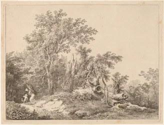 Paysage avec arbre brisé