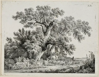 Paysage