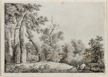 Paysage