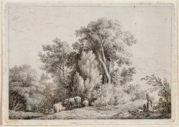 Paysage