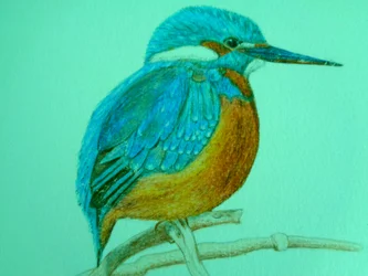 Oiseau