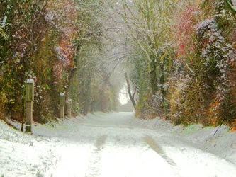 Chemin de campagne