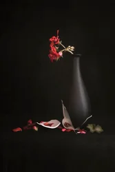 Vase cassé avec fleurs rouges