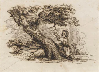 Illustration de "Cinquante Fables pour Enfants" de Hey