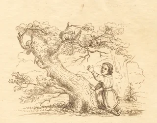 Illustration pour "Cinquante fables pour enfants" de Hey