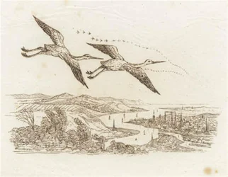 Illustration pour "Cinquante fables pour enfants" de Hey