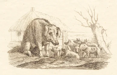 Illustration de "Halvhundrede Fabler for Børn" de Hey